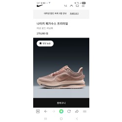 나이키 페가수스 프리미엄