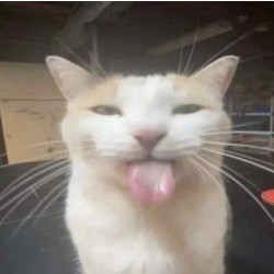 자켓